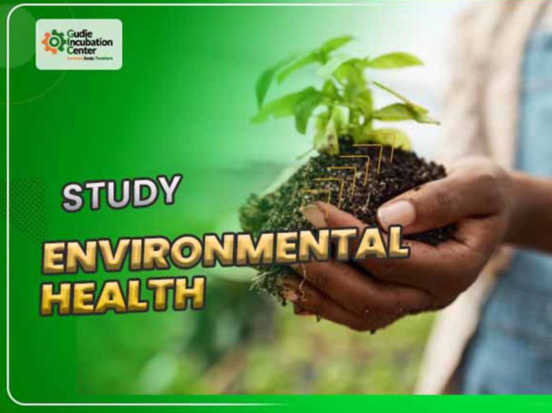 Environmental Health Cottage Industry