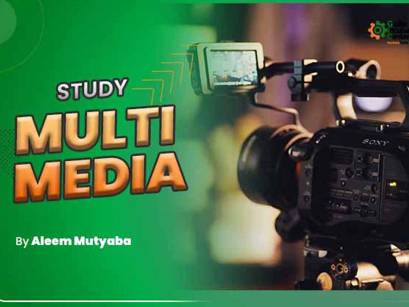 Multimedia Cottage Industry