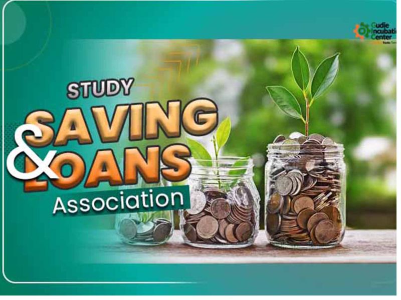 Saving and Loan Association Cottage Industry