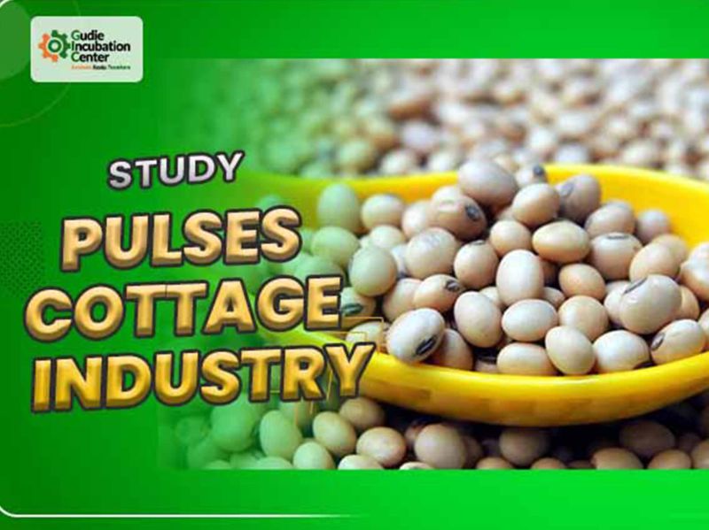 Pulses Cottage Industry